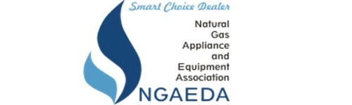 NGaeda logo